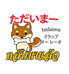 誰でも毎日使える犬日本語タイ語（個別スタンプ：35）