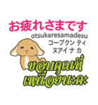 誰でも毎日使えるウサギ日本語タイ語（個別スタンプ：3）