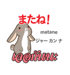 誰でも毎日使えるウサギ日本語タイ語（個別スタンプ：16）