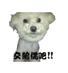 Bread brother（個別スタンプ：9）