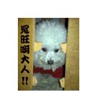 Bread brother（個別スタンプ：40）