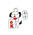 シーズー(コロン)（個別スタンプ：1）