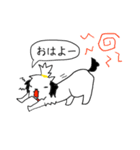 シーズー(コロン)（個別スタンプ：3）