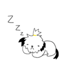 シーズー(コロン)（個別スタンプ：4）