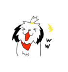 シーズー(コロン)（個別スタンプ：6）
