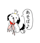 シーズー(コロン)（個別スタンプ：7）