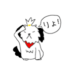 シーズー(コロン)（個別スタンプ：8）