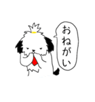 シーズー(コロン)（個別スタンプ：9）