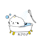シーズー(コロン)（個別スタンプ：17）