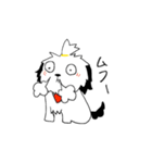 シーズー(コロン)（個別スタンプ：18）