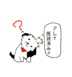 シーズー(コロン)（個別スタンプ：23）