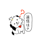 シーズー(コロン)（個別スタンプ：24）