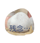 ハムスター詰め合わせ〜便利パック編〜（個別スタンプ：20）