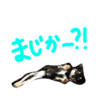 メルシー614 Part 2（個別スタンプ：7）