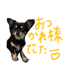 メルシー614 Part 2（個別スタンプ：24）