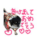 メルシー614 Part 2（個別スタンプ：25）