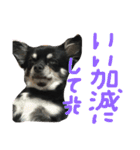 メルシー614 Part 2（個別スタンプ：28）