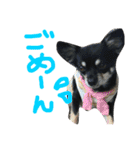 メルシー614 Part 2（個別スタンプ：38）