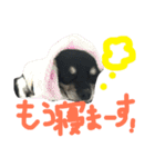 メルシー614 Part 2（個別スタンプ：39）