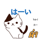 誰でも毎日使える猫日本語タイ語（個別スタンプ：1）