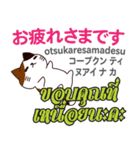 誰でも毎日使える猫日本語タイ語（個別スタンプ：3）