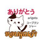 誰でも毎日使える猫日本語タイ語（個別スタンプ：5）