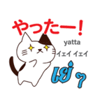 誰でも毎日使える猫日本語タイ語（個別スタンプ：6）