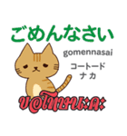 誰でも毎日使える猫日本語タイ語（個別スタンプ：7）