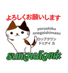 誰でも毎日使える猫日本語タイ語（個別スタンプ：8）