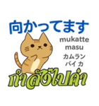 誰でも毎日使える猫日本語タイ語（個別スタンプ：10）