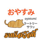 誰でも毎日使える猫日本語タイ語（個別スタンプ：12）