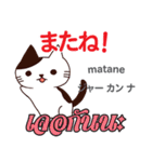 誰でも毎日使える猫日本語タイ語（個別スタンプ：16）