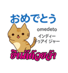 誰でも毎日使える猫日本語タイ語（個別スタンプ：17）