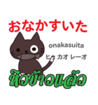 誰でも毎日使える猫日本語タイ語（個別スタンプ：24）