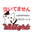 誰でも毎日使える猫日本語タイ語（個別スタンプ：26）