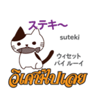 誰でも毎日使える猫日本語タイ語（個別スタンプ：36）