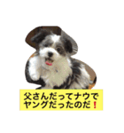 誕生❣️お母さん❣️お父さん❣️（個別スタンプ：14）