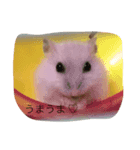 ハムスターのハムコ（個別スタンプ：6）
