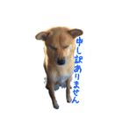 もぐスタンプ（個別スタンプ：21）