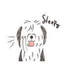 What the dog saw（個別スタンプ：40）