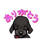KURO THE DRAGON（個別スタンプ：5）