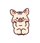 piggy daily（個別スタンプ：20）