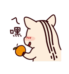 piggy daily（個別スタンプ：24）