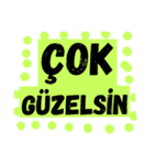 Turkish most used words 2（個別スタンプ：26）