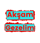 Turkish most used words 2（個別スタンプ：30）