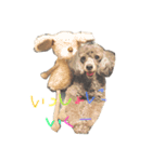 もじゃげはぐーさん（個別スタンプ：1）