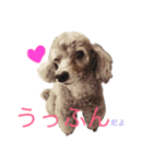 もじゃげはぐーさん（個別スタンプ：4）
