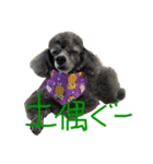 もじゃげはぐーさん（個別スタンプ：5）