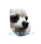 ライト＆ルビー（個別スタンプ：5）