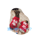 あおた、あぽ（個別スタンプ：7）